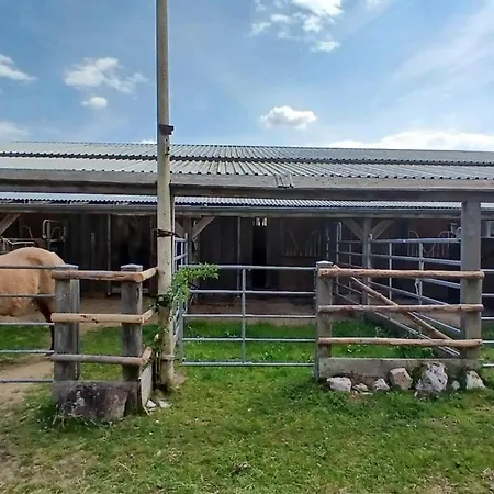 Lucky Day Ranch * Dietfurt