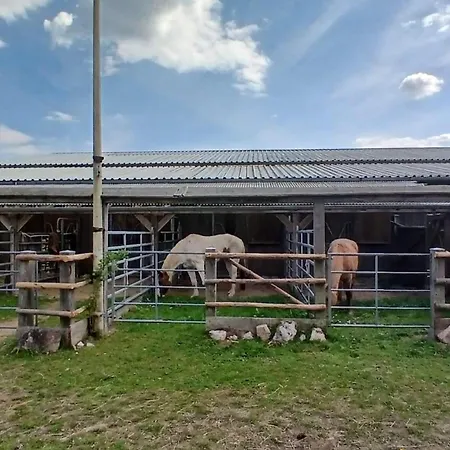 Lucky Day Ranch Dietfurt