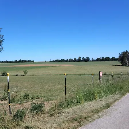 Lucky Day Ranch