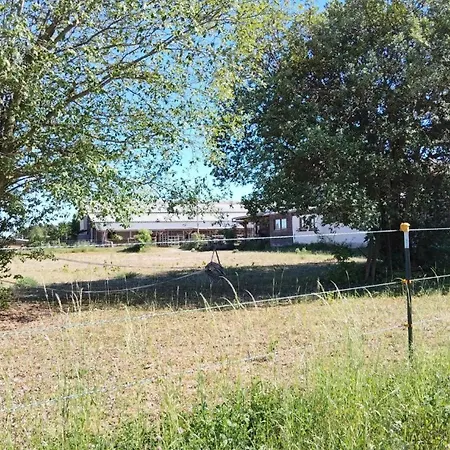 Lucky Day Ranch *